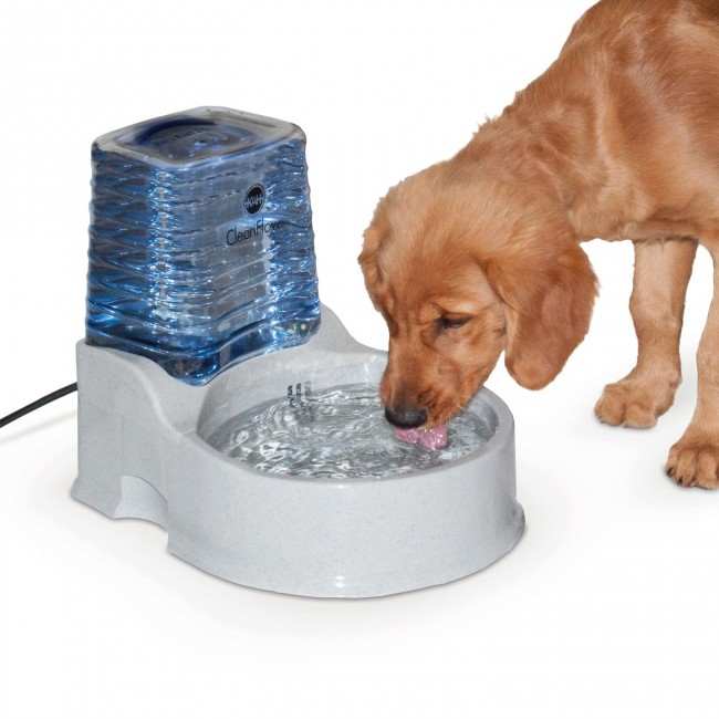 CleanFlow Water Filter Bowl for Dogs Medium